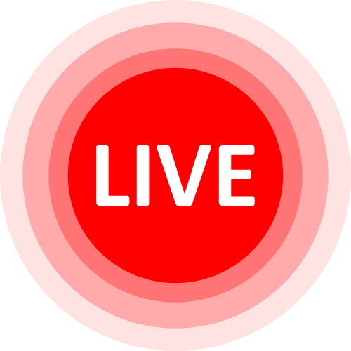 Princess Polly Live Chat
